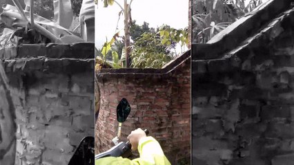 Back to hometown HamLon - Bombing Trip