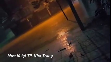 Áp thấp nhiệt đới lũ lụt