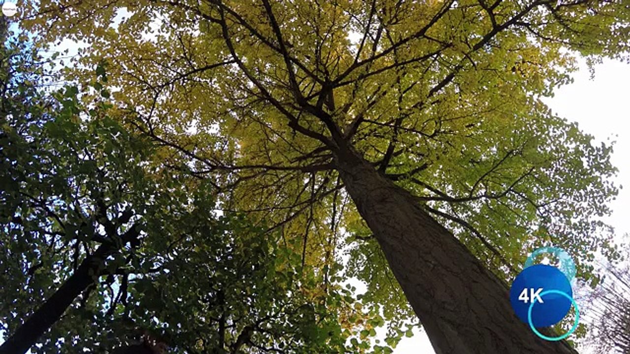 GoPro HERO4 Black   Déballage   Unboxing - Test 4K - YouTube