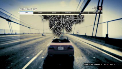Grand Theft Auto (26)