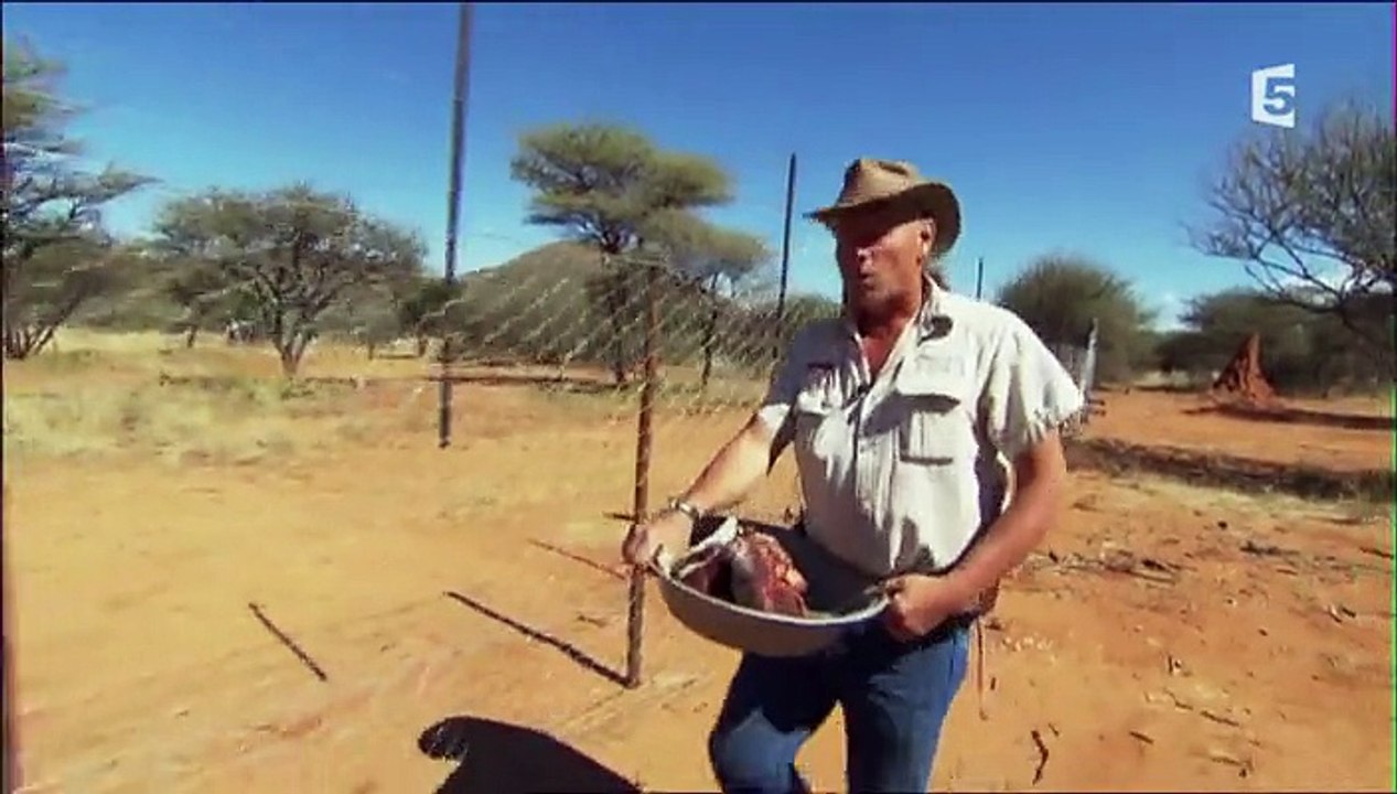 Guépards - Hyènes (doc 2016 stfr)