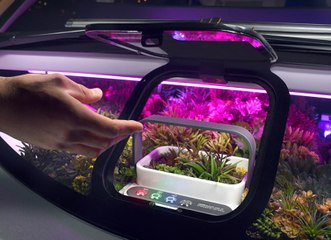 This car of the future comes with its own urban garden