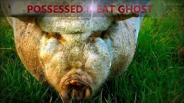 ☆ PIG GHOST in HOLY MEAT TRANCE - Paranormal Activity in Possessed Pig God