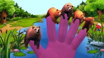 Finger Family Rhymes Bear Dinosaurs | Elephant Cartoons Finger Family Children Nursery Rhymes