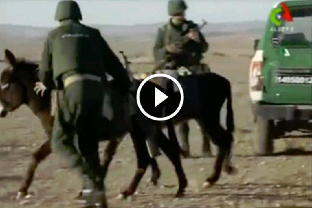 انهيار الاقتصاد المغربي نتيجة عملية للقوات الخاصة الجزائرية بعد اعتقال 4 حمير