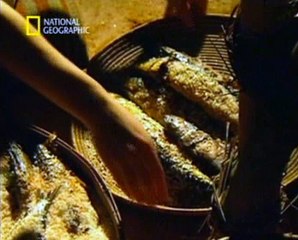 A Nagy Piramis Mélyén