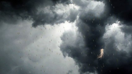 Prévisions météo pour la journée du mercredi 14 décembre