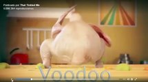 El pollo que goza y baila, videos graciosos,