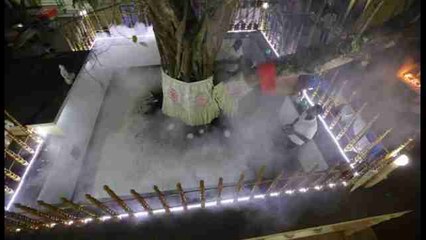 La luna llena de diciembre convoca a miles de budistas en torno al árbol de Buda