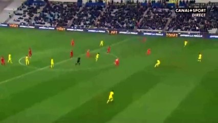 Kevin Berigaud Goal HD - Nantes 1-1 Montpellier 13.12.2016