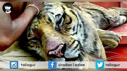 Filmlerde Kullanılan Özel Efektler