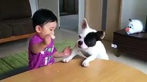 Cute baby & puppy are playing & crying.