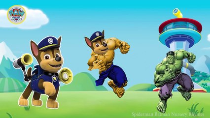 Paw Patrol Transforms Into Hulk Finger Family Song - Hulk as Paw Patrol Nursery Rhymes for Kids