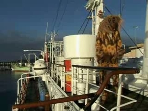 MICHEL LEGRIS - MO CAPITAINE