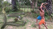 Wow! Children Catch Water Snake Using Bamboo Net Trap - How to Catch Water Snake in Cambodia