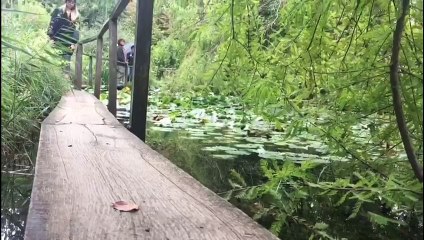 The Botanic Garden of Lucca Spot