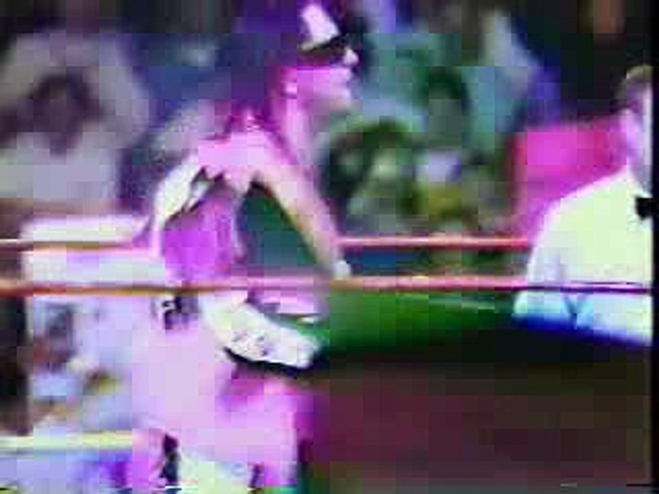 WWE - Bret Hart vs Razor Ramon Royal Rumble 1993