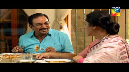 Kuch Na Kaho Episode 13 Full HD HUM TV Drama 13 December 2016