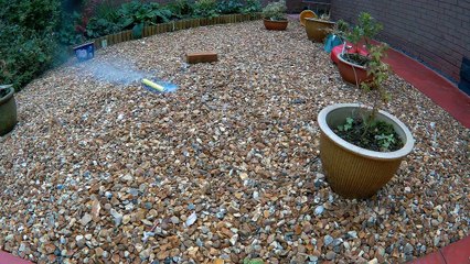 P1256 Mega Jumbo from Bombashop at 1000 fps