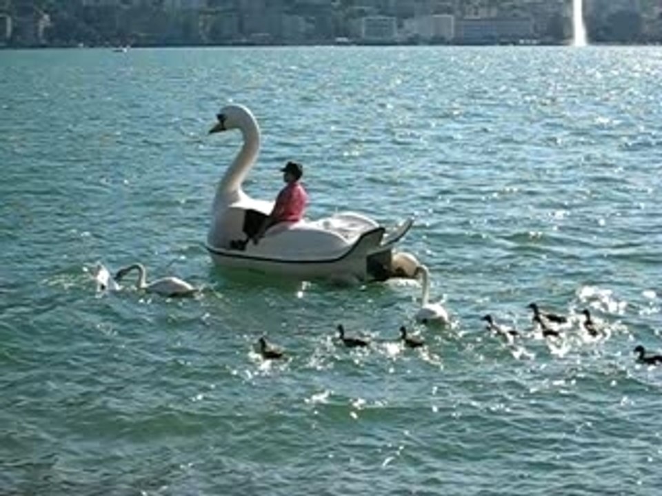 Strano pedalò....