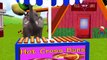 Colors Animals Elephant Dinosaur Gorilla Rain Rain Go Away Popular Nursery Rhymes Baby Fun Songs