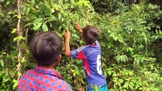 Amazing Children Catch Big Turtle Using Bamboo Net Trap | How To Catch Turtle In Cambodia