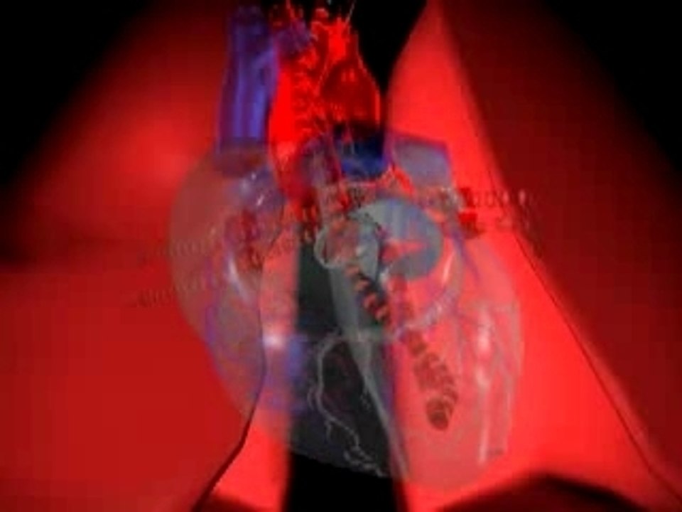 Animation 3D / modélisation du fonctionnement du coeur /