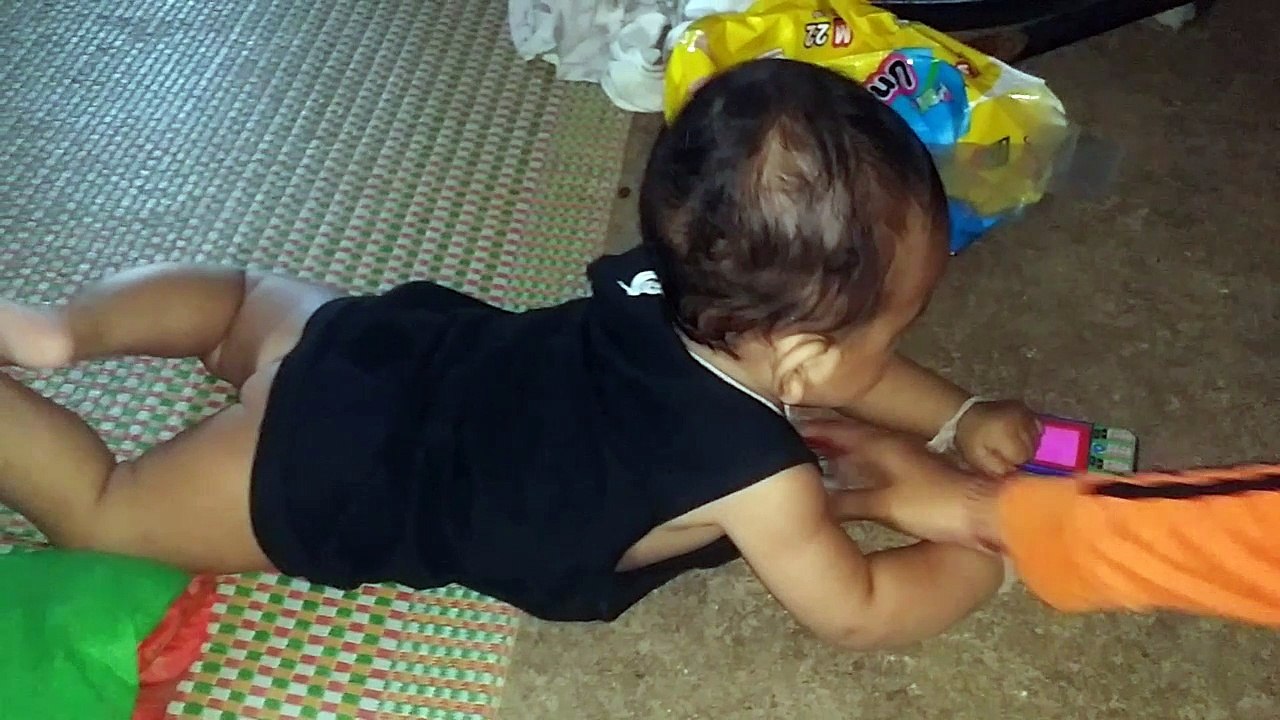 ជ្រូកព្រែរកចំណី