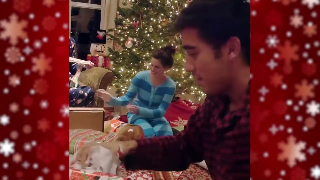 Top 100 Zach King Magic Tricks @2 _ New Best Magic Show Tricks Ever 2016_HD