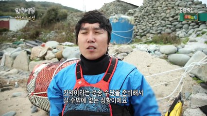 Wild Life-2-One day in an out-island-20161213