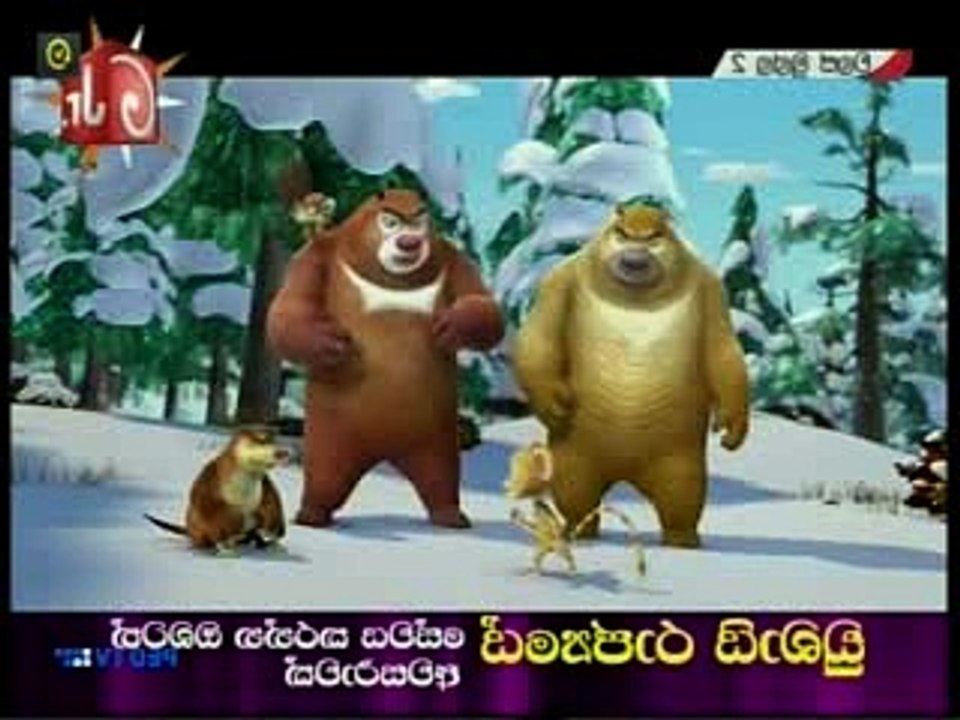 walas 12.12.201