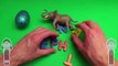 Marvel Avengers Surprise Egg Word Jumble! Spelling Animals! Lesson 36! Toys for Kids!