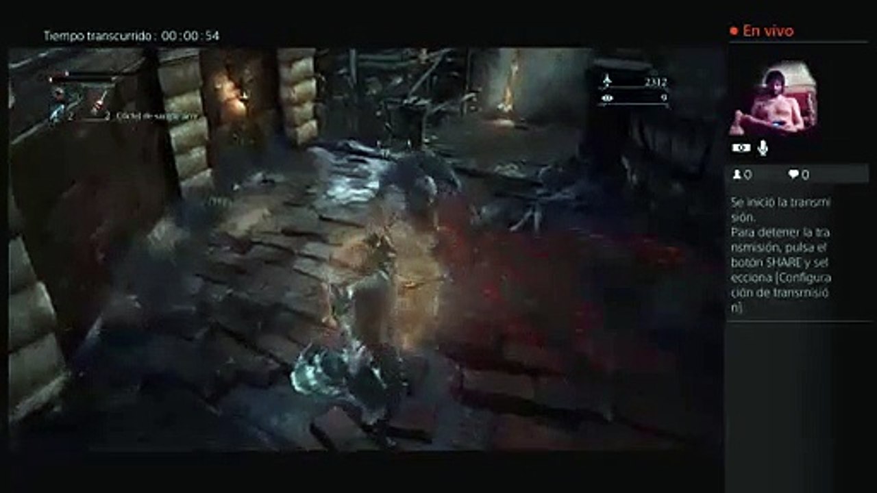 Jugando Bloodborne !!!!!! (43)