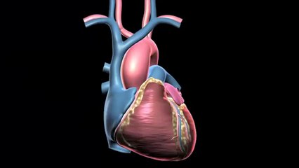 Patient Story Gene Larson – CureMed Assist – Medical Tourism Company