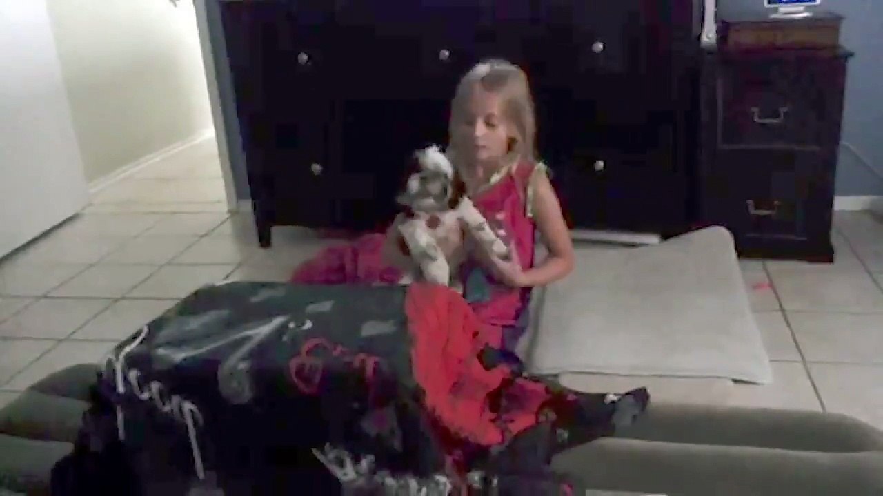 Faire disparaitre son chien - Tour de magie hilarant!