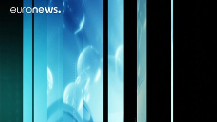 2050'de denizlerde balıktan çok plastik olacak