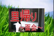 [HD] サンドウィッチマン爆笑コント【里帰り　面会】富澤＆伊達の爆笑コントwww 2016