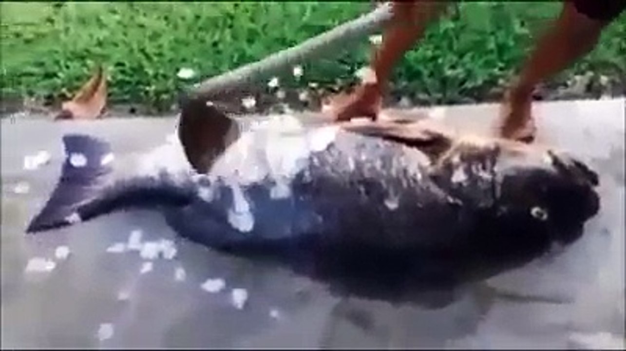 Clip vui Nhà em có cỗ các bác à, funny clips