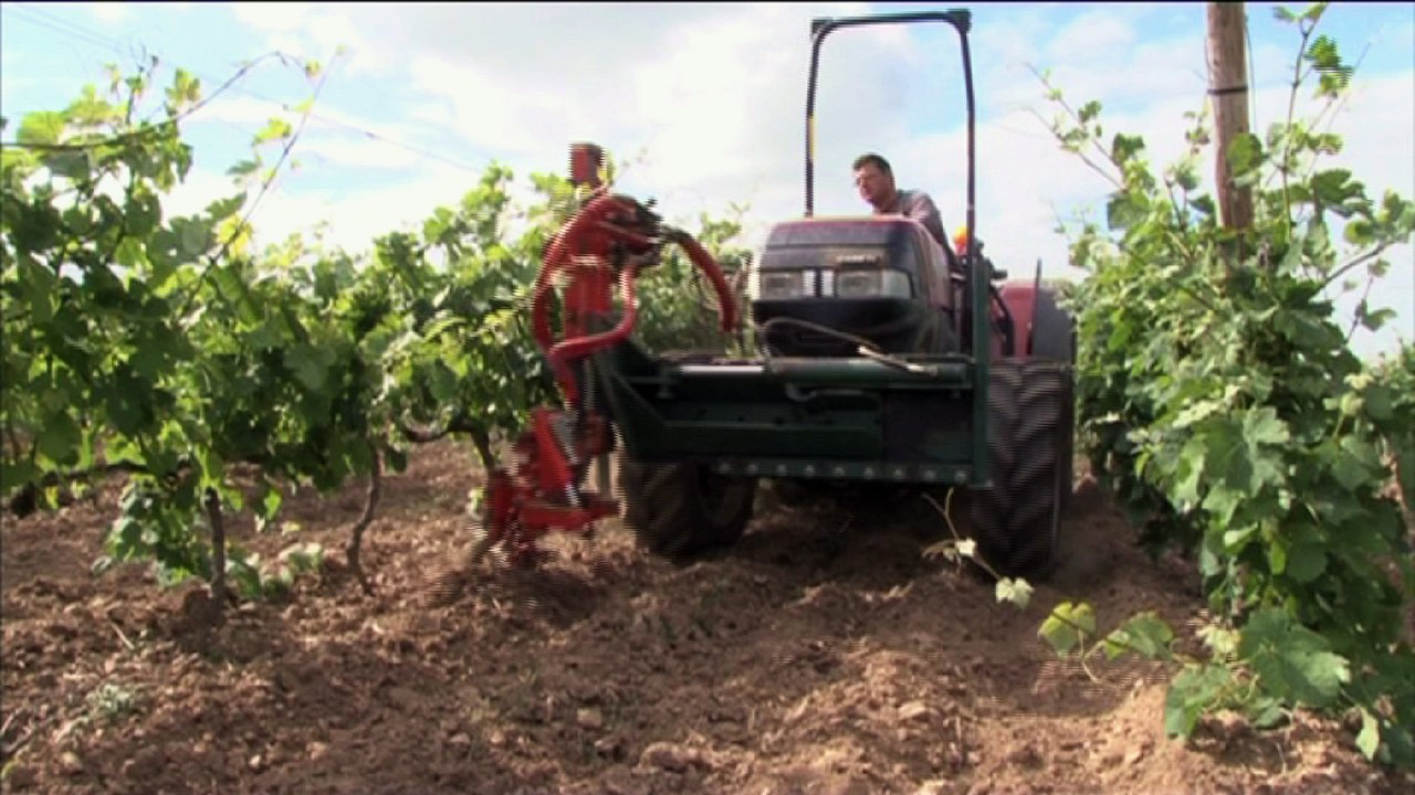 Au coeur de l'Ardèche verte, des agriculteurs ont choisi le collectif