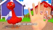 Goose 3D Finger Family | Nursery Rhymes | 3D Animation From TanggoKids Nursery Rhymes