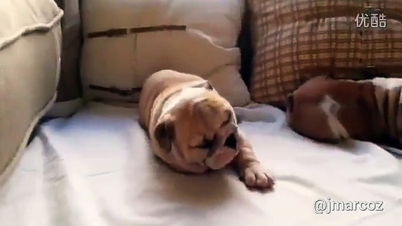 Super cute 3
