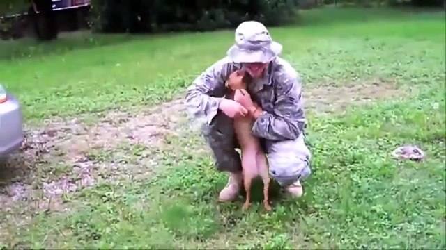 Quand les militaires retrouvent leurs chiens