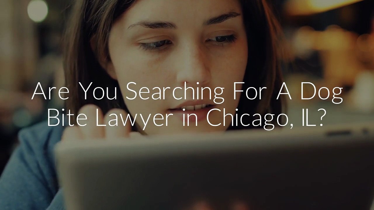 Marc J Shuman & Associates, Ltd : Dog Bite Lawyer in Chicago, FL