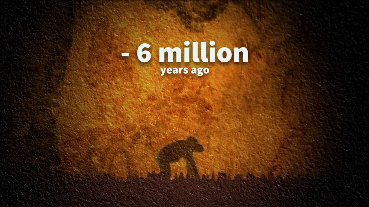 Milestones in human evolution