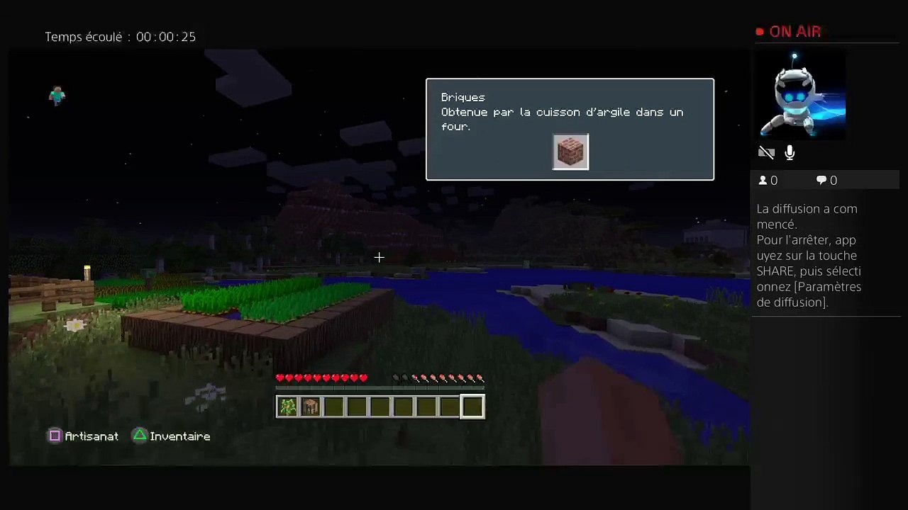 LIVE MINECRAFT