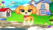 My Cute Little Pet - Kids Learn to Care Cute Little Puppy Android Gameplay