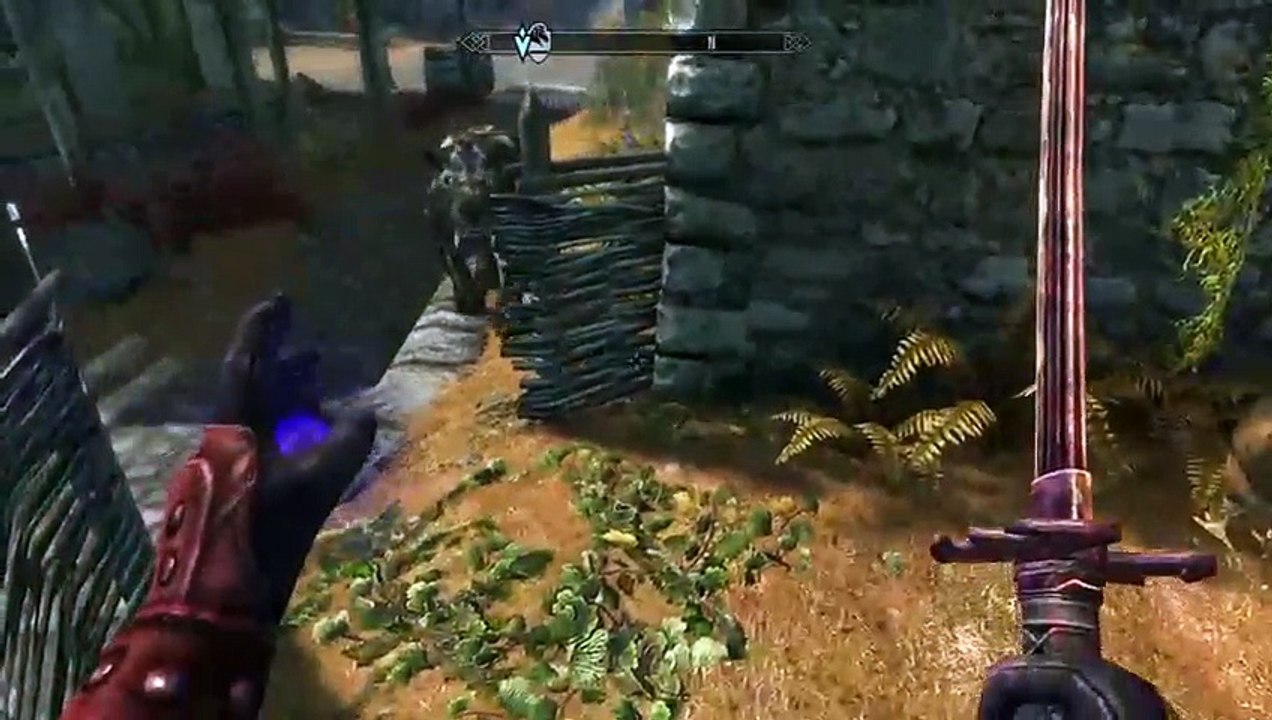 Skyrim mods (3)