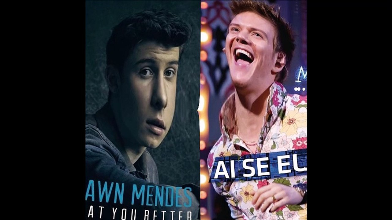 Shawn Mendes vs Michel Telo - Treat you nossa (Bastard Batucada Melhor Mashup)