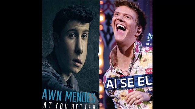 Shawn Mendes vs Michel Telo - Treat you nossa (Bastard Batucada Melhor Mashup)