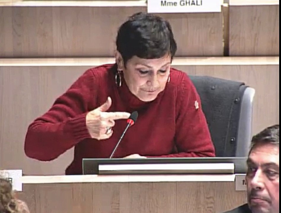 Marie-Arlette Carlotti intervient sur la mission locale pour défendre la garantie jeune